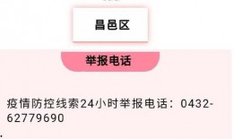 大吉林网友爆料视频播放,视频揭示惊人真相，引发网友热议！
