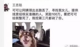 八卦圈爆料黄二狗视频