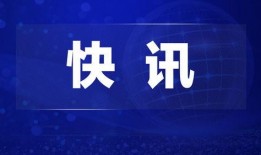 怀化热点爆料新闻视频,视频揭露惊人真相，引发社会热议！