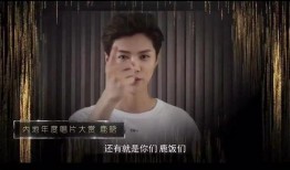 大鹅爆料间谍视频在线观看,间谍视频在线观看，揭秘神秘情报行动